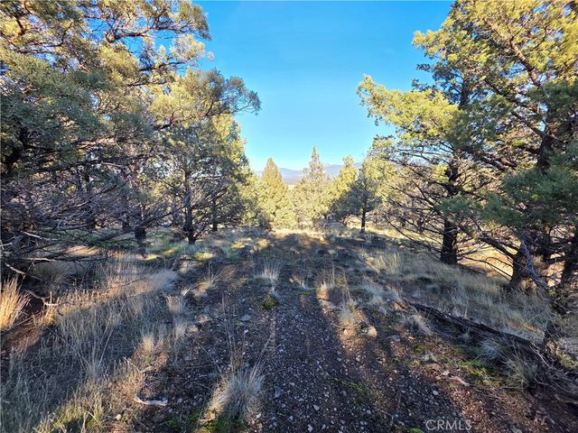 25 Quail Ridge, Weed, CA 96094