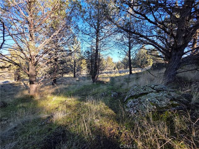 25 Quail Ridge, Weed, CA 96094