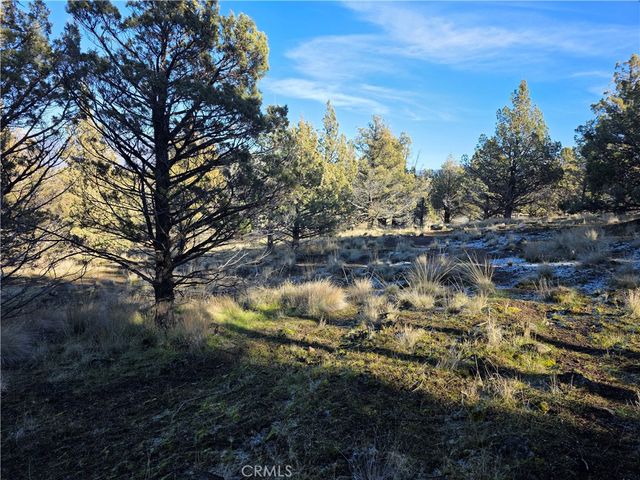 25 Quail Ridge, Weed, CA 96094