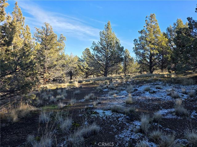 25 Quail Ridge, Weed, CA 96094