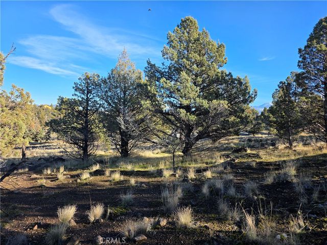 25 Quail Ridge, Weed, CA 96094