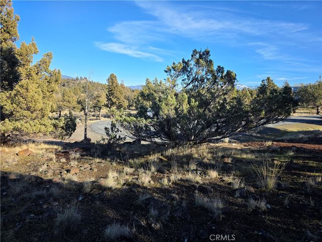 25 Quail Ridge, Weed, CA 96094