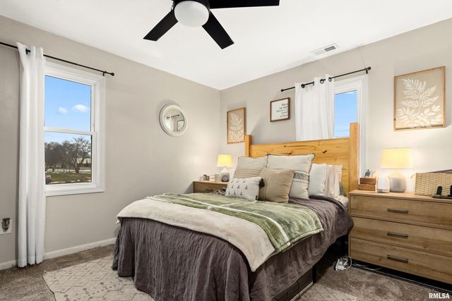 401 S HARRIS Street, Tremont, IL 61568