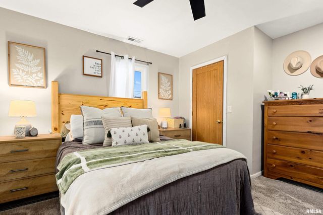 401 S HARRIS Street, Tremont, IL 61568