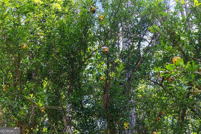 1336 Martin Mill Road, Moreland, GA 30259