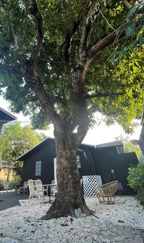 21 NE 53 Street, Miami, FL 33137