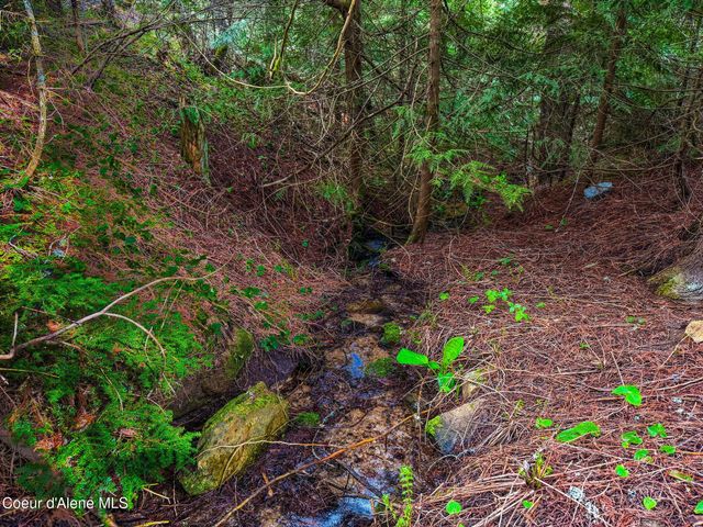 17461 N Right Fork RD, Hauser, ID 83854