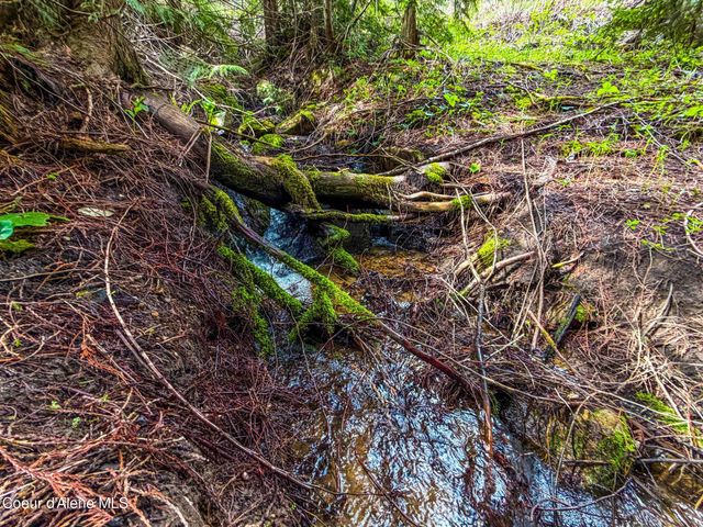 17461 N Right Fork RD, Hauser, ID 83854