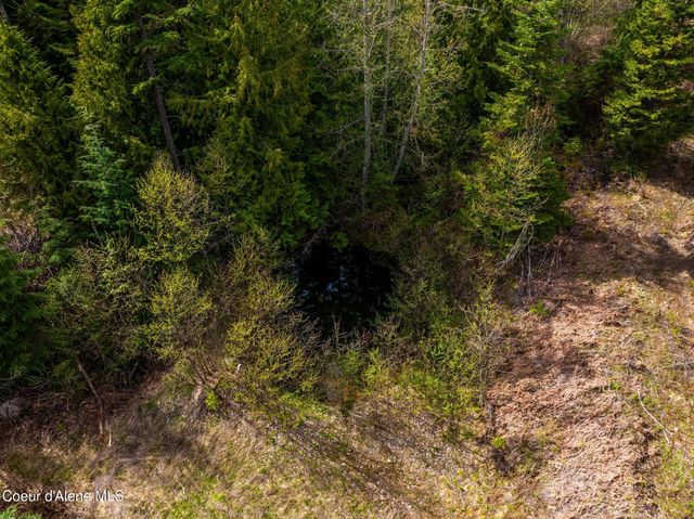 17461 N Right Fork RD, Hauser, ID 83854