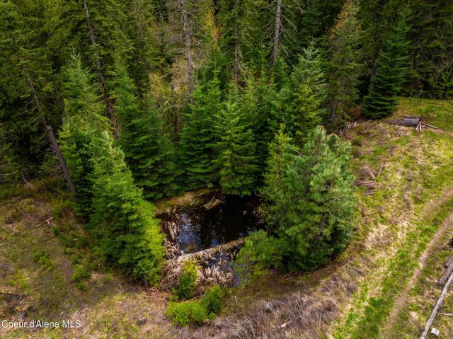 17461 N Right Fork RD, Hauser, ID 83854