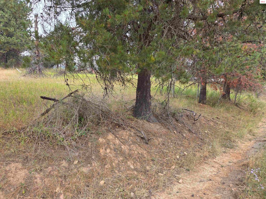 Lot 2B Upper Drive, Osburn, ID 83849 photo 10