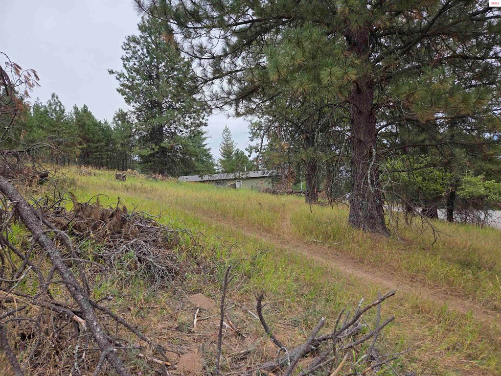 Lot 2B Upper Drive, Osburn, ID 83849 photo 11
