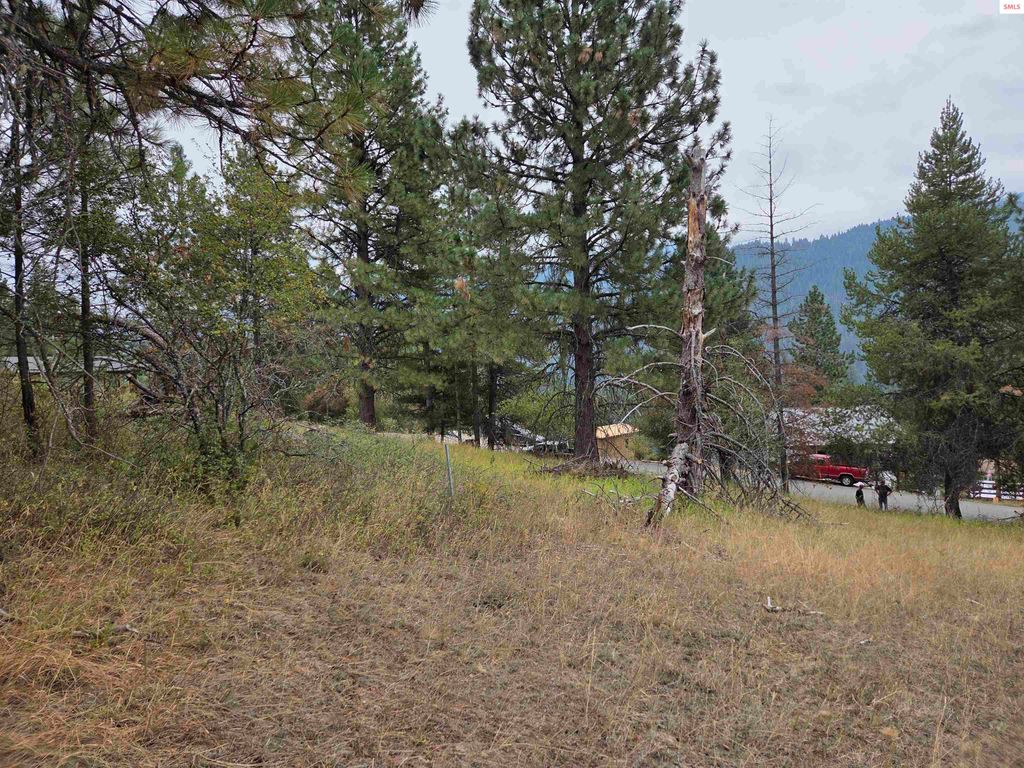 Lot 2B Upper Drive, Osburn, ID 83849 photo 13