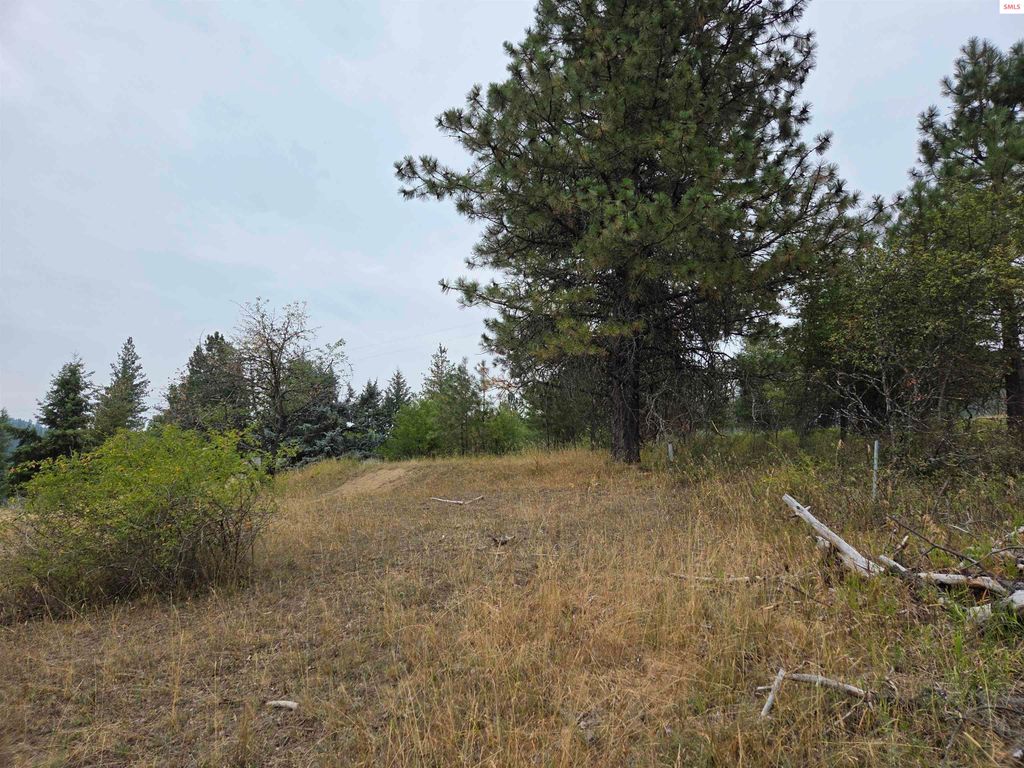 Lot 2B Upper Drive, Osburn, ID 83849 photo 14