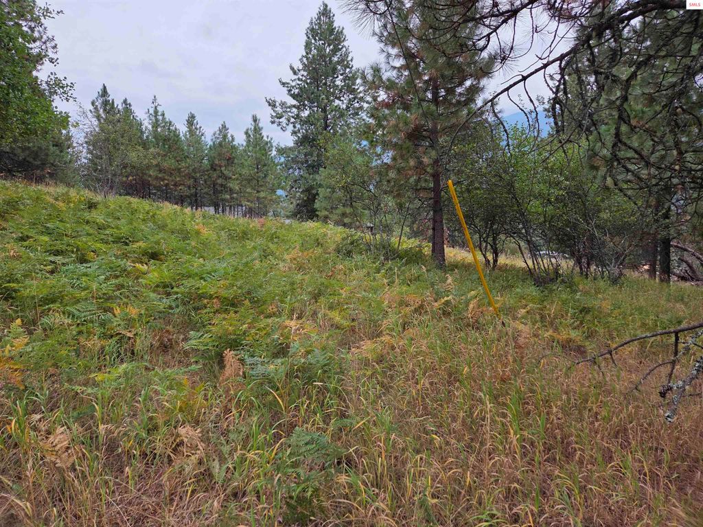 Lot 2B Upper Drive, Osburn, ID 83849 photo 16