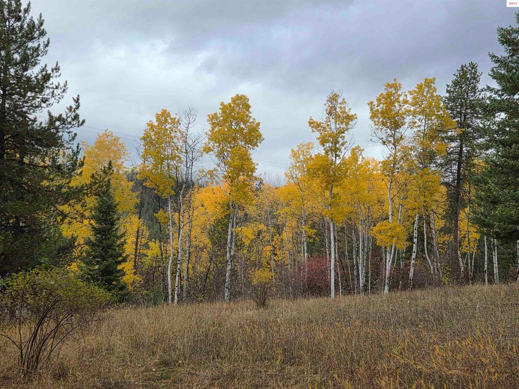 Lot 2B Upper Drive, Osburn, ID 83849 photo 4