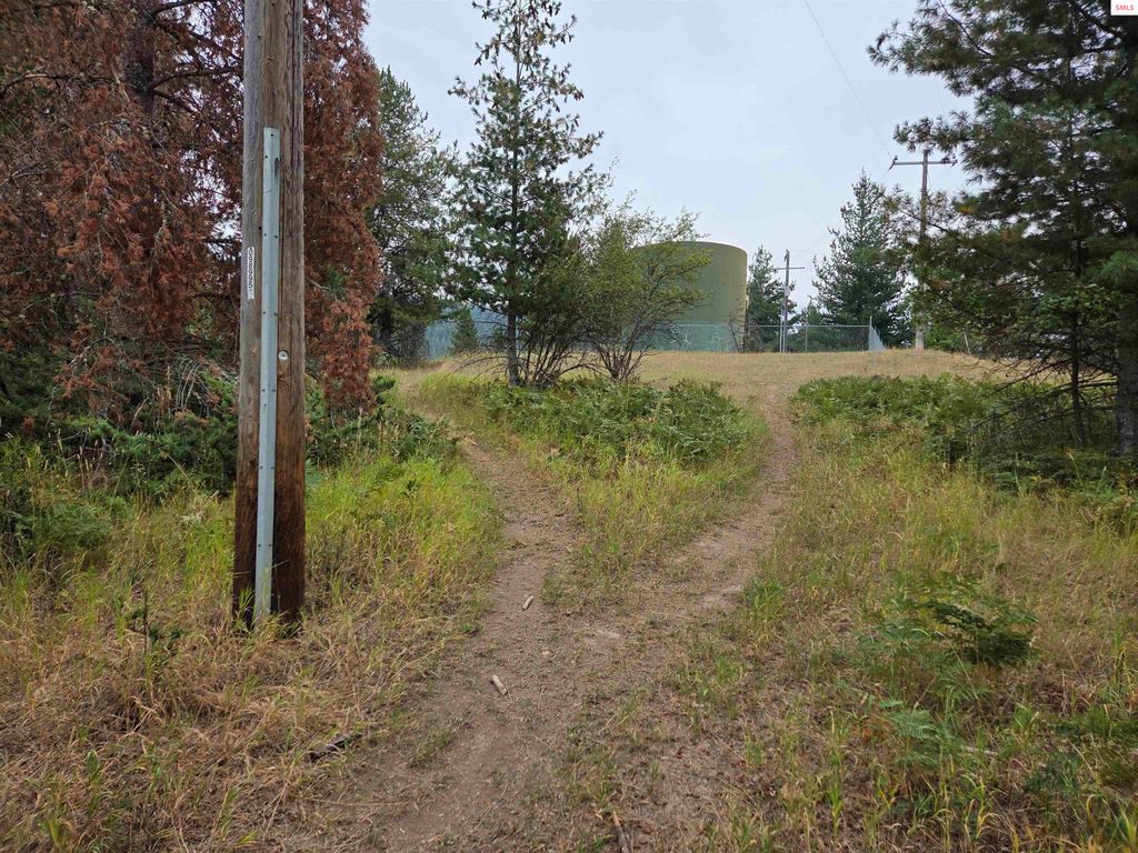 Lot 2B Upper Drive, Osburn, ID 83849 photo 8