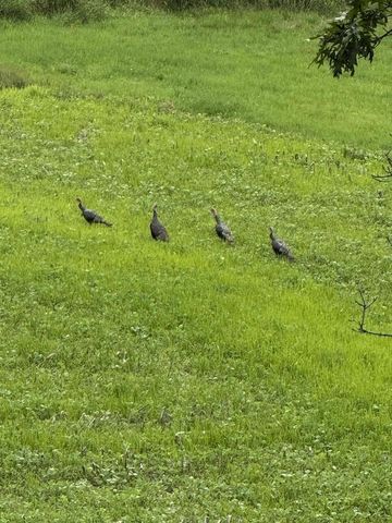 15490 Holiday ROAD, Tomah, WI 54660