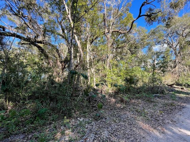 13581 119TH PL, Ocklawaha, FL 32179