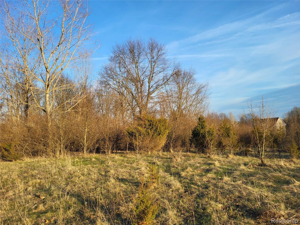 TBD Parcel B Olivia Drive, Milford Charter Township, MI 48380