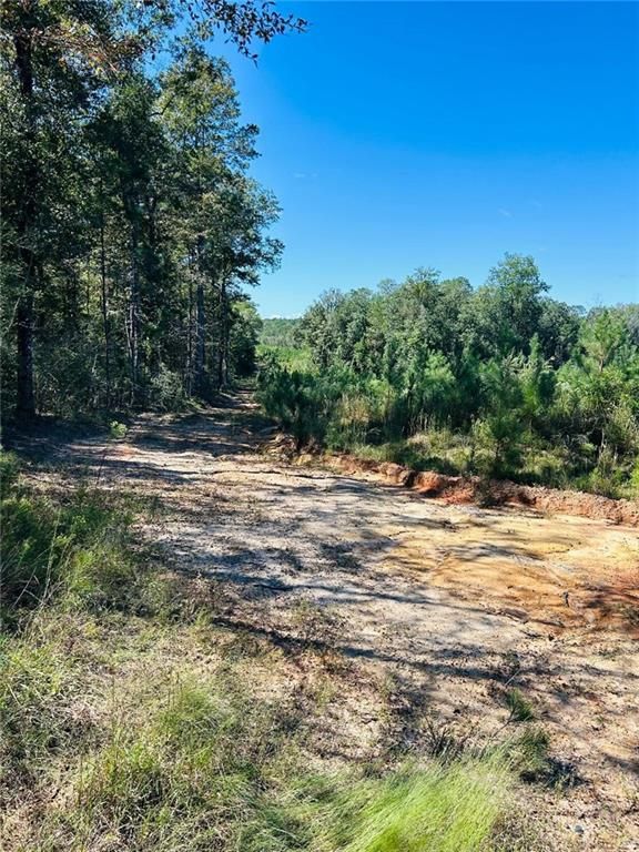 0 Gulfcrest Road, Chunchula, AL 36521 — exterior