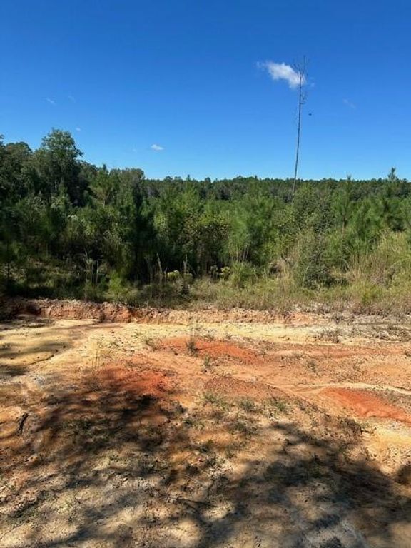 0 Gulfcrest Road, Chunchula, AL 36521 — photo 3
