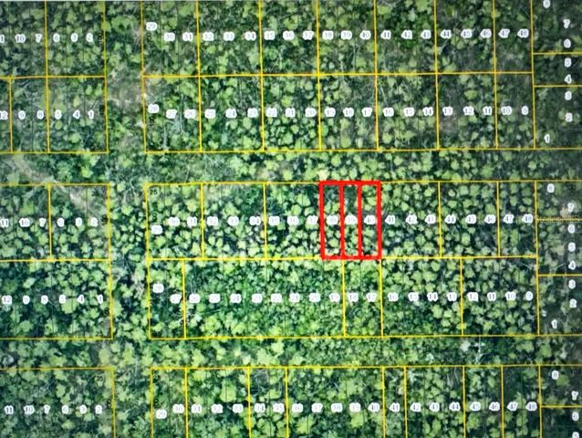 1 WERLEY TRAIL, Deland, FL 32720