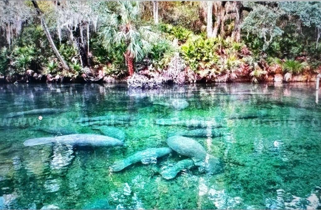 1 WERLEY TRAIL, Deland, FL 32720