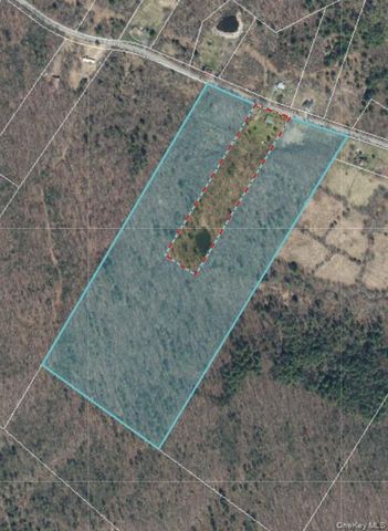 Irish Cape Road, Ellenville, NY 12428