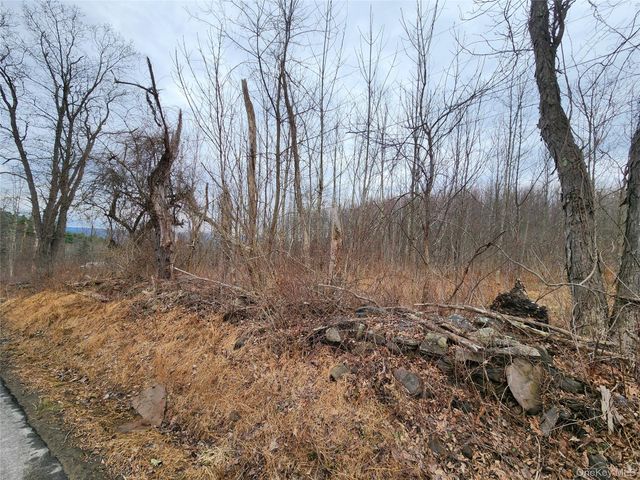 Irish Cape Road, Ellenville, NY 12428