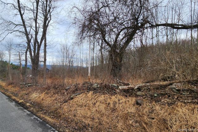Irish Cape Road, Ellenville, NY 12428