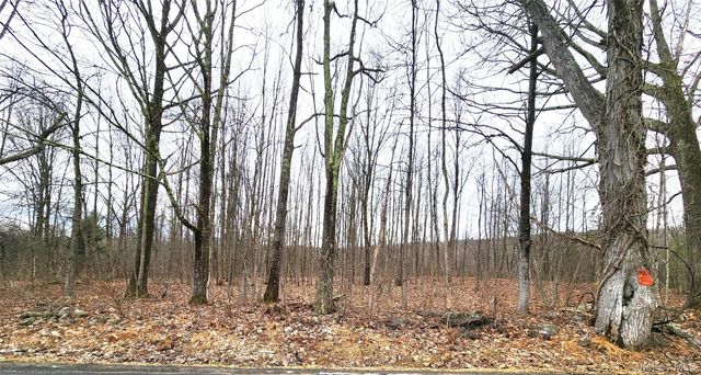 Irish Cape Road, Ellenville, NY 12428