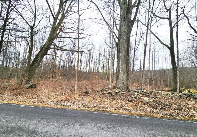 Irish Cape Road, Ellenville, NY 12428