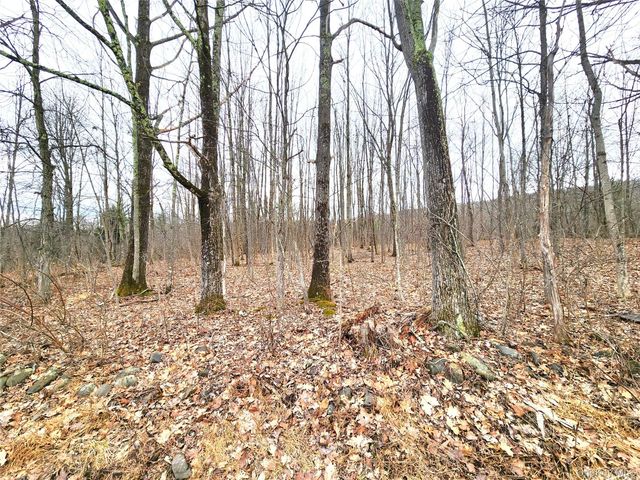 Irish Cape Road, Ellenville, NY 12428