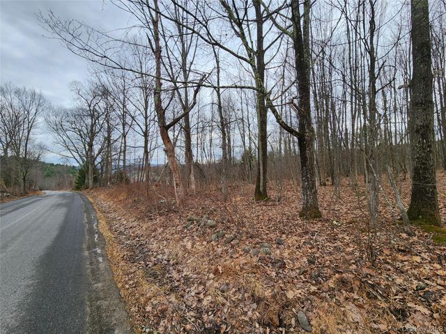 Irish Cape Road, Ellenville, NY 12428