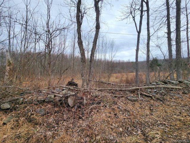 Irish Cape Road, Ellenville, NY 12428