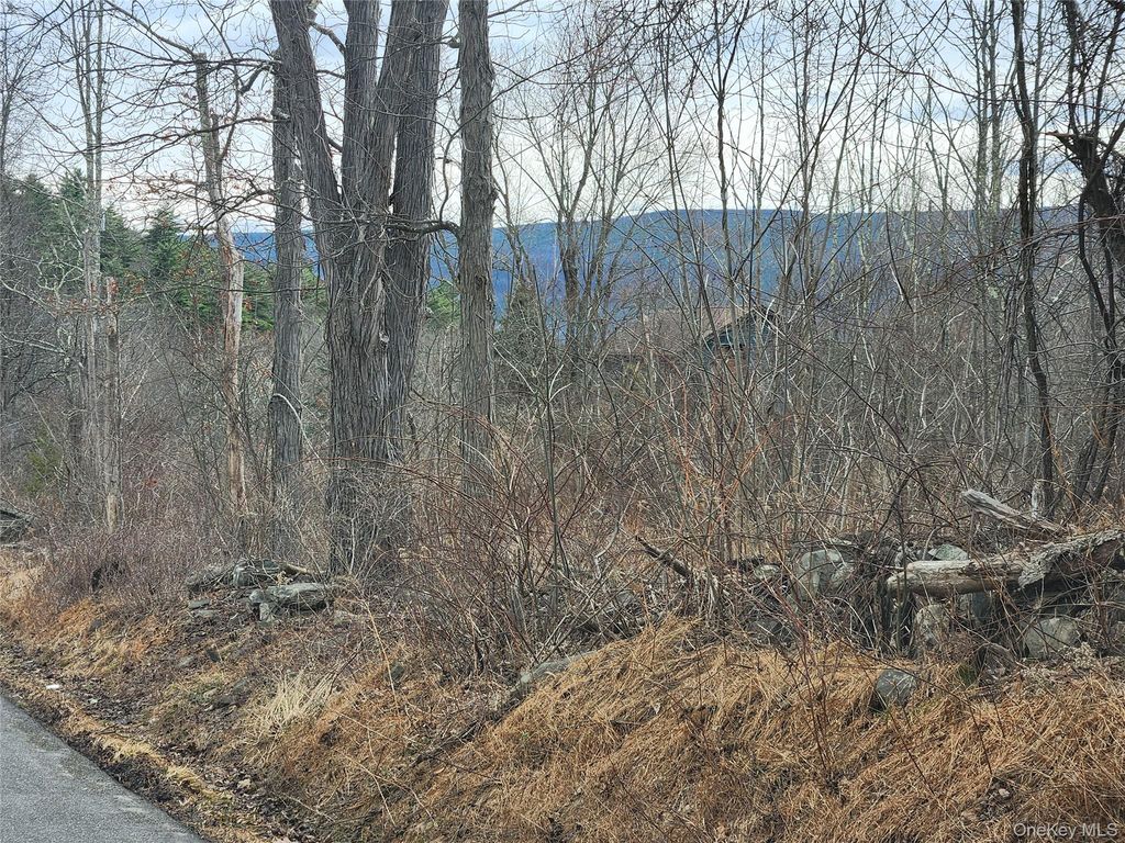 Irish Cape Road, Ellenville, NY 12428