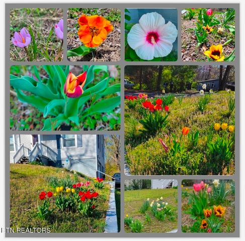 5724 Woodale Drive, Knoxville, TN 37912