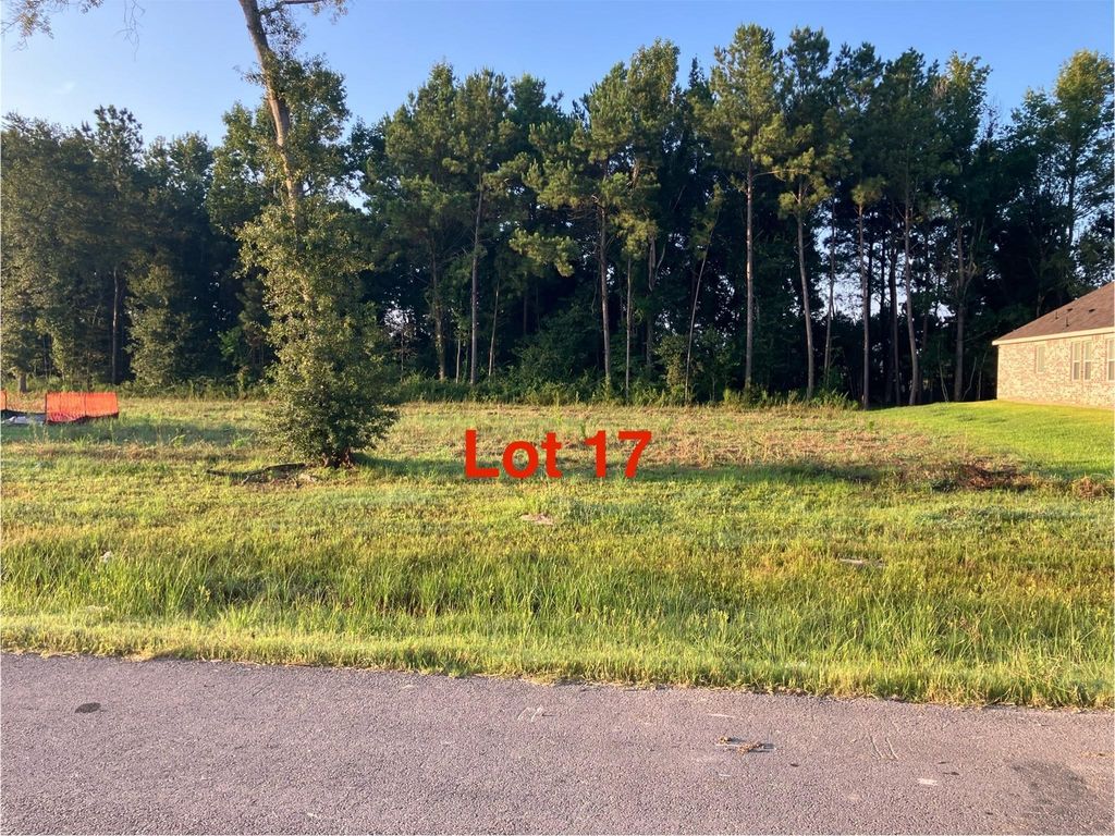 1061 Tarkington Timbers Drive, Cleveland, TX 77327