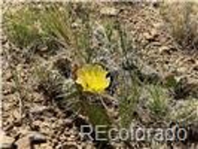 Lot 589 La Deora Boulevard, Walsenburg, CO 81089