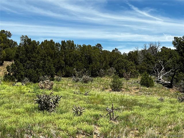 Lot 589 La Deora Boulevard, Walsenburg, CO 81089