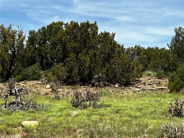 Lot 589 La Deora Boulevard, Walsenburg, CO 81089