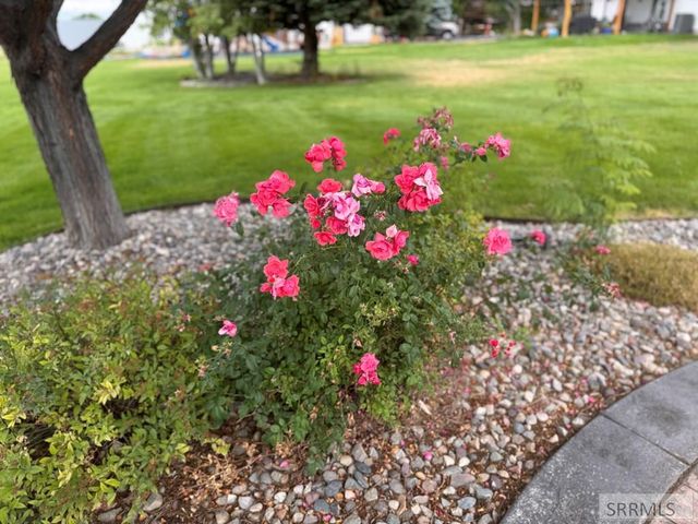 3921 E 154 N, Rigby, ID 83442