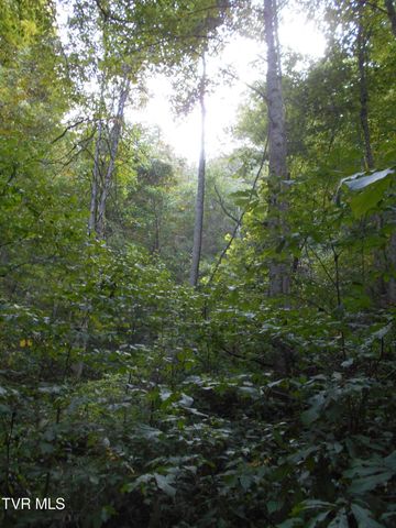 17532 Phillips Road, Bristol, VA 24202