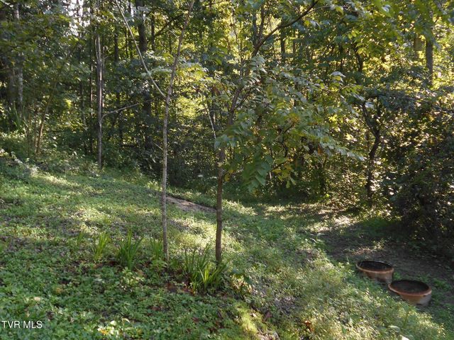 17532 Phillips Road, Bristol, VA 24202