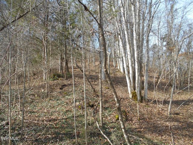 17532 Phillips Road, Bristol, VA 24202