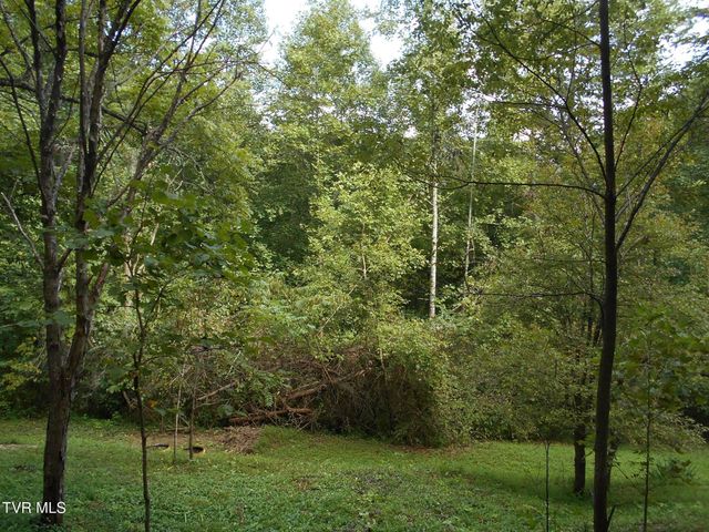 17532 Phillips Road, Bristol, VA 24202