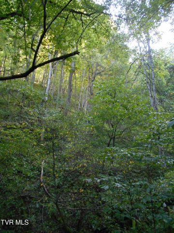 17532 Phillips Road, Bristol, VA 24202