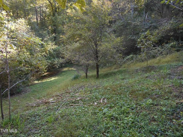 17532 Phillips Road, Bristol, VA 24202
