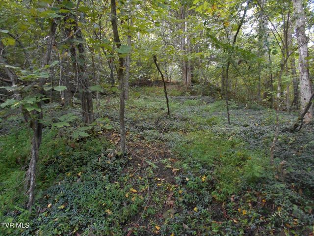 17532 Phillips Road, Bristol, VA 24202